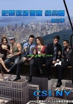 犯罪现场调查 第五季