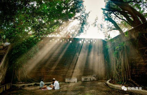 神泉仙农,揭秘神秘泉水背后的神奇农业传奇