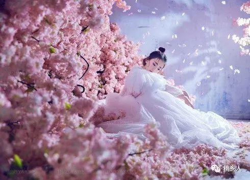 桃花梦,探寻诗意人生之旅